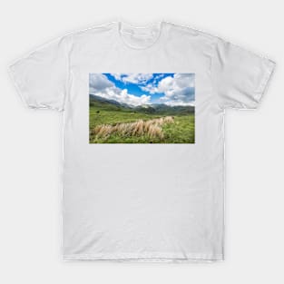 Old Man Of Coniston T-Shirt